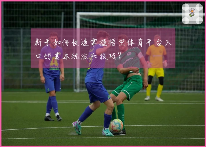 新手如何快速掌握悟空体育平台入口的基本玩法和技巧？