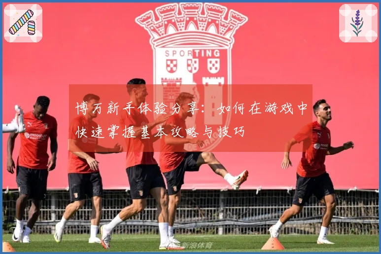 博万新手体验分享：如何在游戏中快速掌握基本攻略与技巧