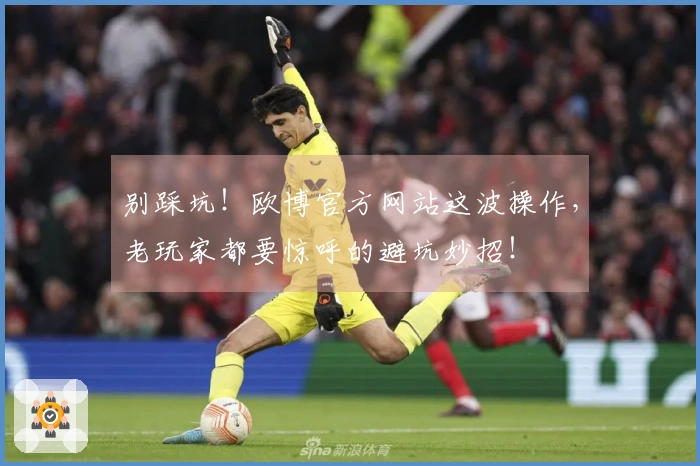 别踩坑！欧博官方网站这波操作，老玩家都要惊呼的避坑妙招！